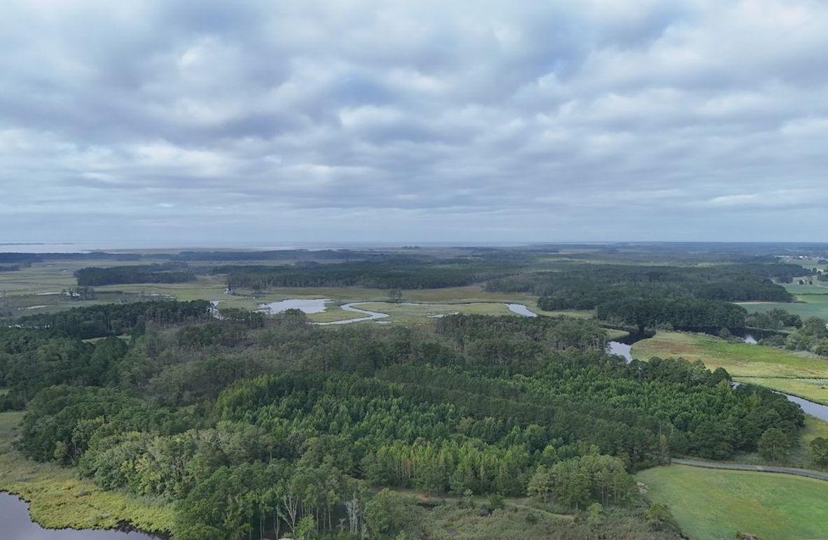 E_IMG22_60AC_dji_fly_20250811_083158_0002_1754945067739_photo