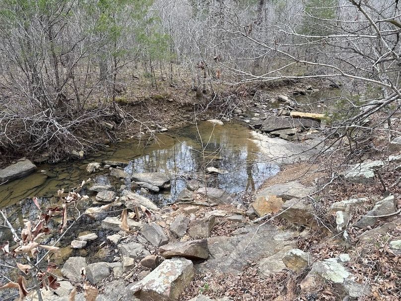 DJI_20260324_104136_218