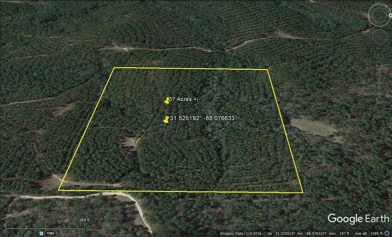 Aerial #5 Approx. 37 Acres Washington County, AL