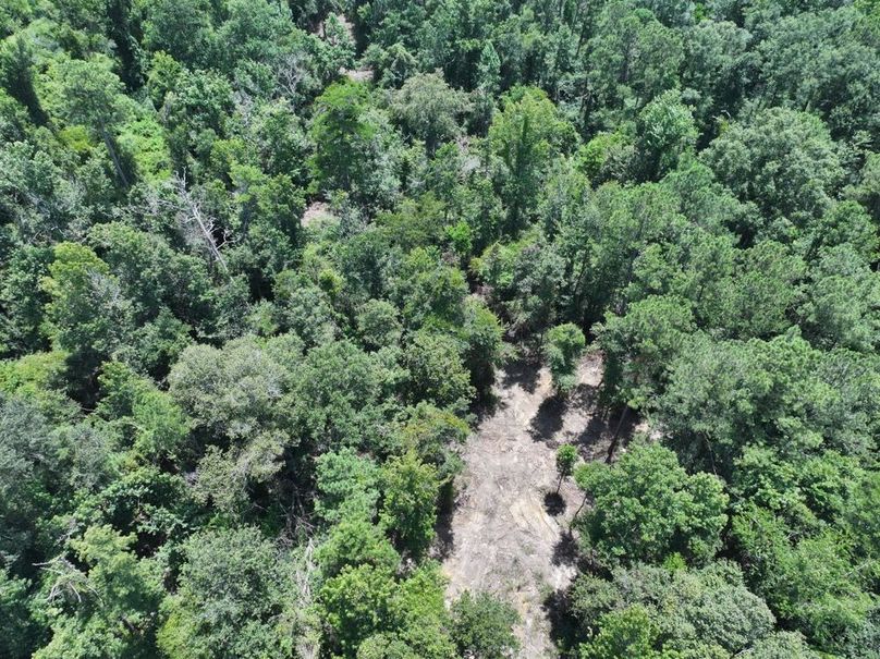 dji_fly_20250708_123952_0215_1752089881664_photo