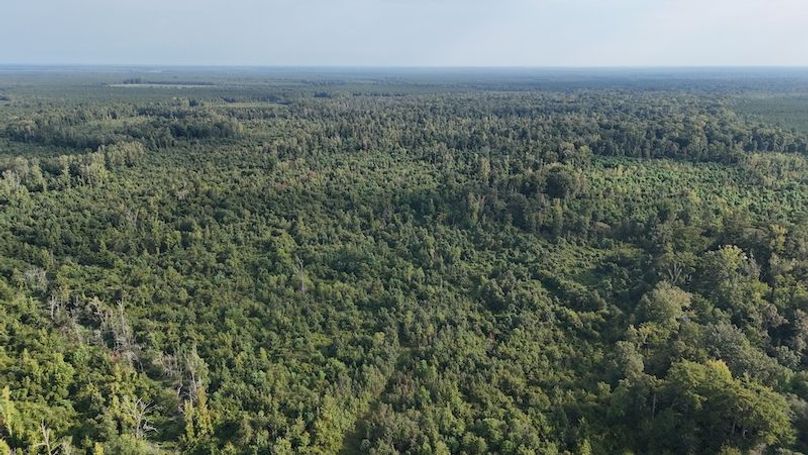 DJI_20250814085205_0056_D