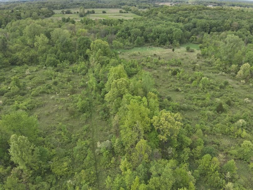 DJI_20250520062638_0011_V