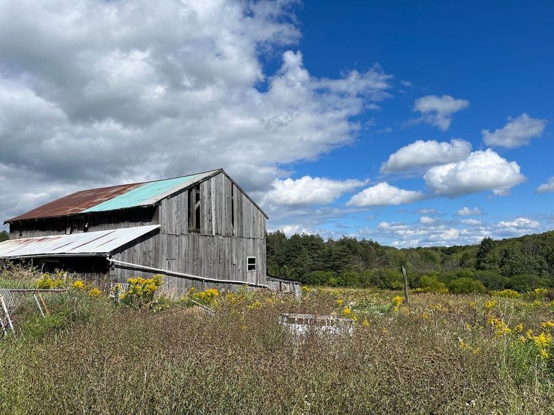 Schuyler_42.08_Austin Photo 22