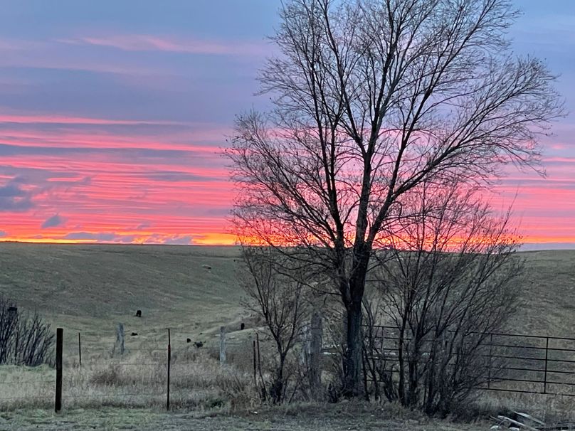 0DC86081-D6DA-4E55-A914-B8DACFFFA069