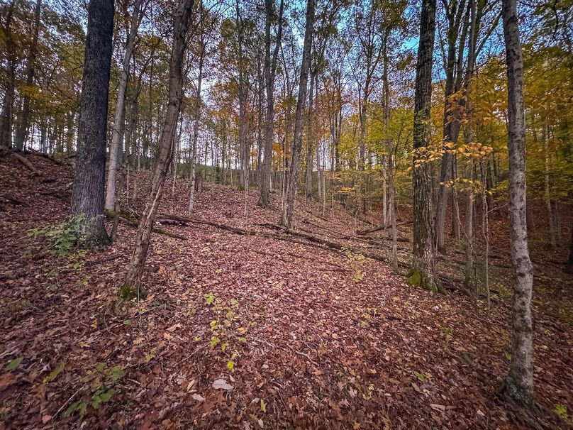 Wirt, WV 43 AC Berry-15