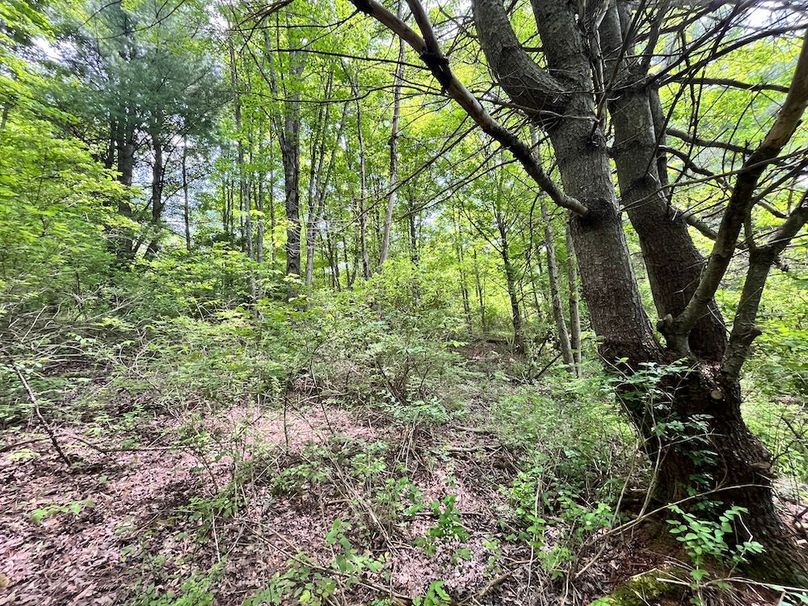 Tioga_78_Biada_Photos_34