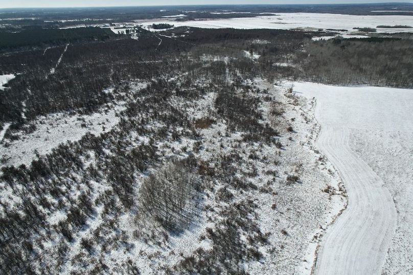 dji_fly_20260311_115134_101_1773248438707_photo (1)