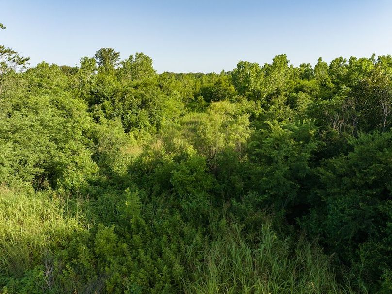 Copy of Noxubee 70 +- Tract 3-22