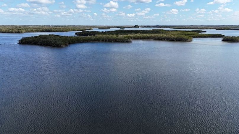 17.17ac, Citrus, Josiah Ronco33