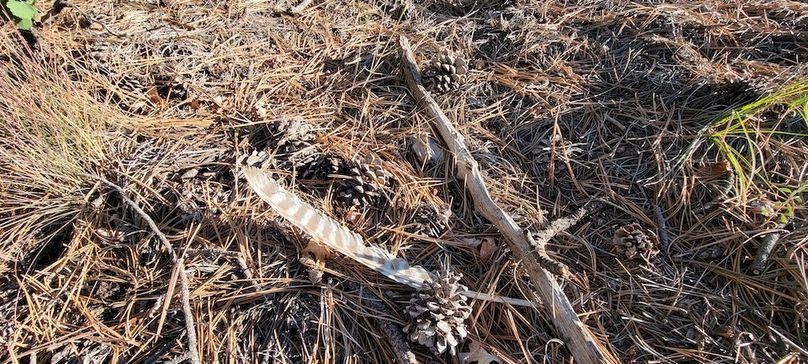 Copy of 20210827_081208