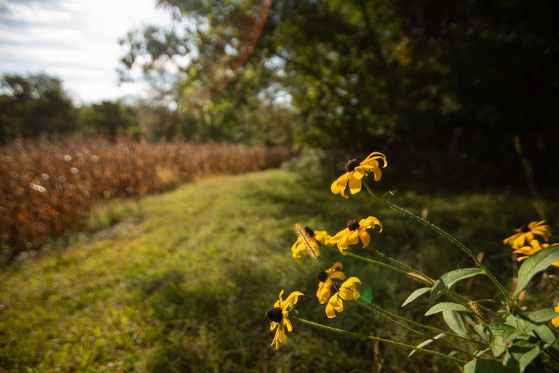 FREMONT CO. IA 158.32_67