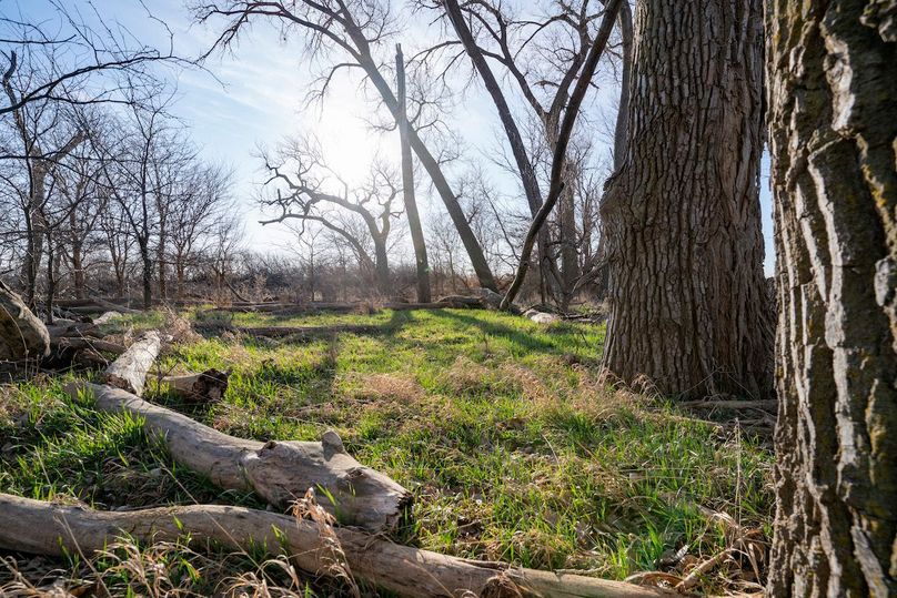 Central KS Tillable Tract Near Larned Whitetail Properties