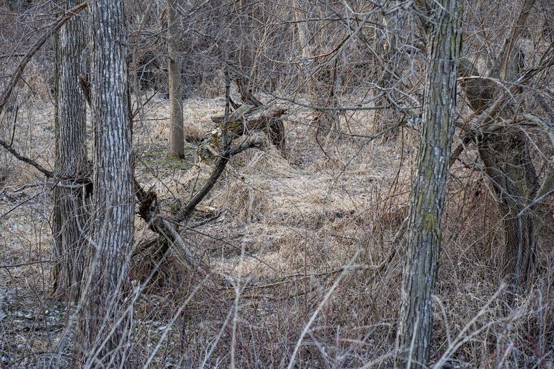 3605 Big Hill Rd.-101