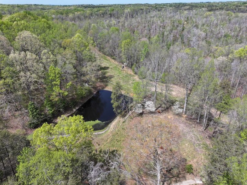 dji_fly_20260408_135916_0880_1776104745950_photo