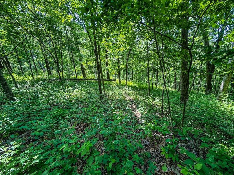 Houston 134.41 Updated Oct-31