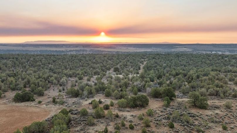 DJI_0467_1