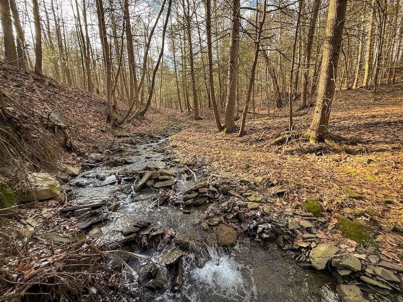 Chemung_59.65_Kocsis_photos_28