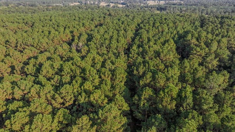 DJI_20250918172539_0168_D