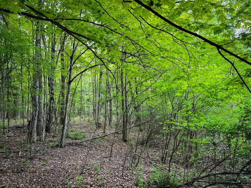 Tioga_78_Biada_Photos_84