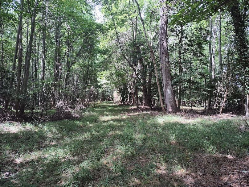 IMG_20250830_120431698