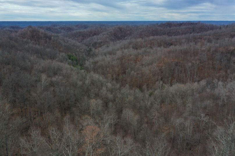 016 aerial drone shot from the east boundary ridge looking west down the valley