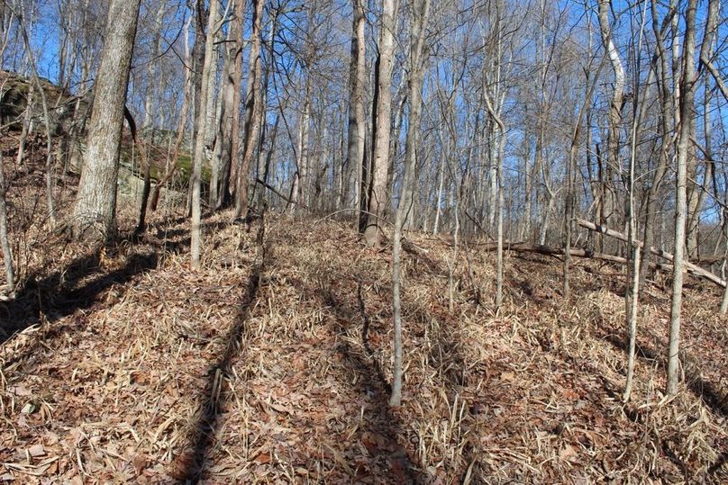 009 gentle terrain in the upper elevations make exploring a pleasure