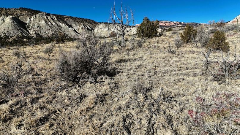 DJI_20241219101814_0063_D