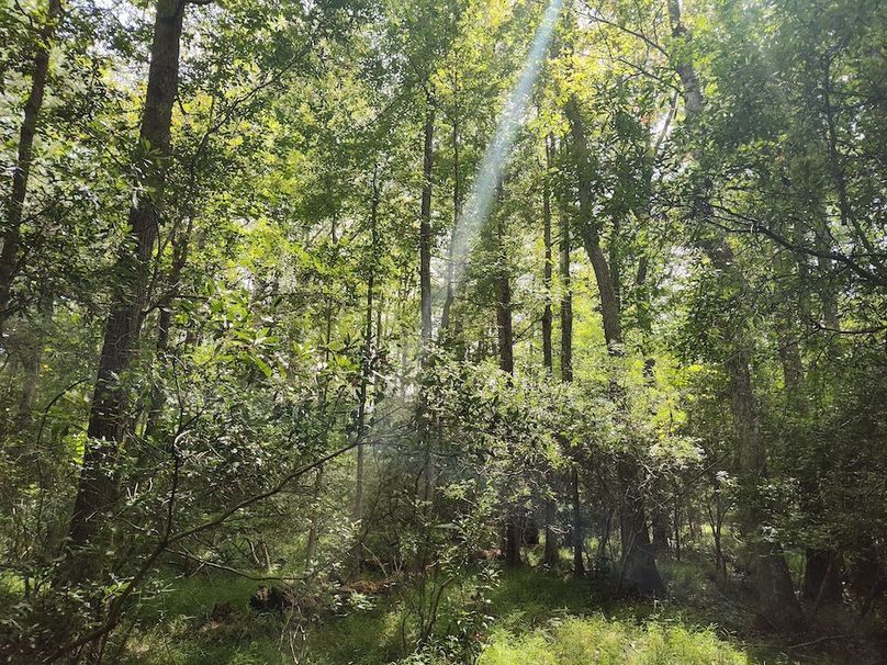 IMG_20250830_134115854