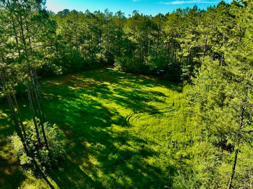 6426C2CF-8DCE-45AB-B758-3AD3DBD1BDDF_1_201_a