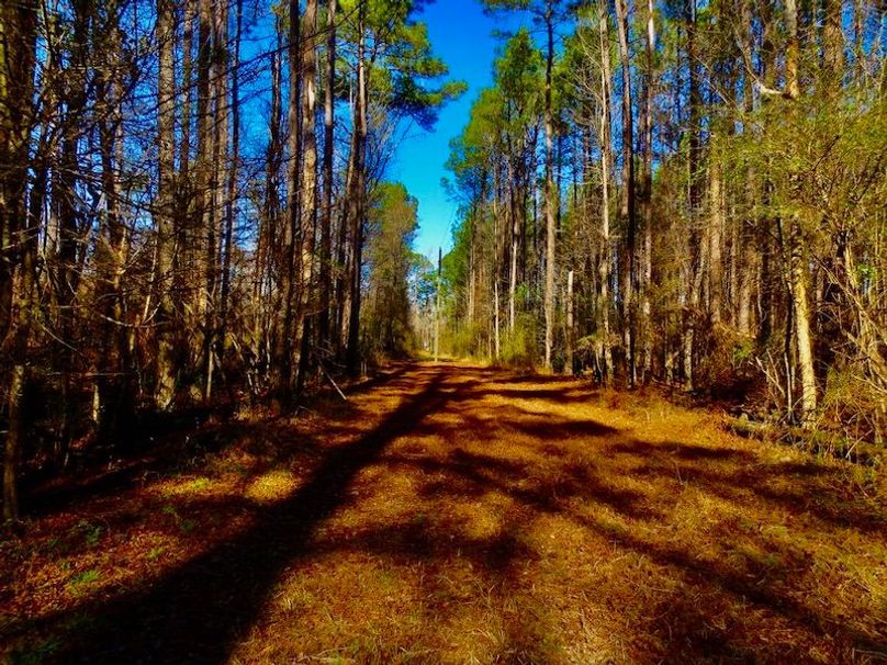 68613638-EAFD-4A7C-B73A-189C1E3428F9_1_105_c