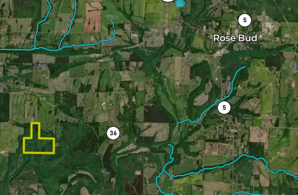 Screenshot 2025-06-30 at 12.53.10 PM