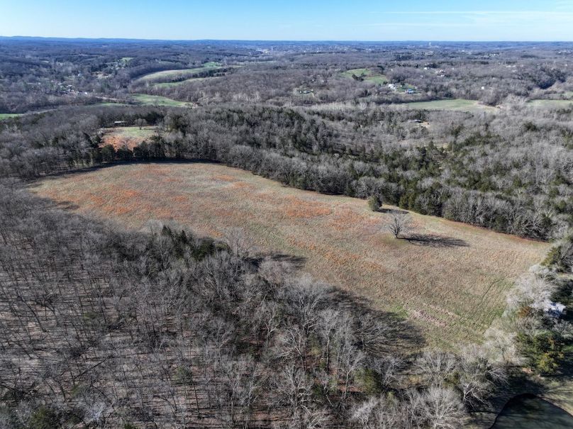 DJI_20260317093600_0982_D