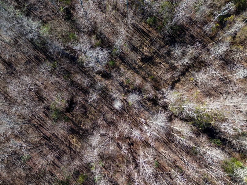 Pender NC 382 - Edits-38