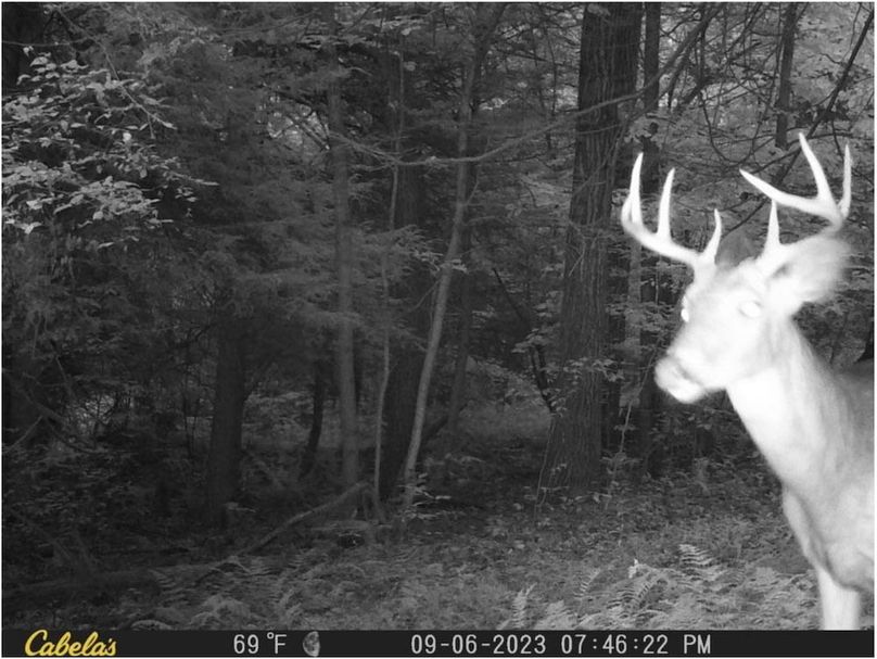 Screenshot 2026-02-25 213921