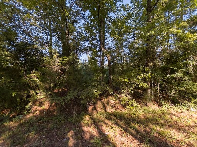 Hinds Co - 3.94 - Newman-5