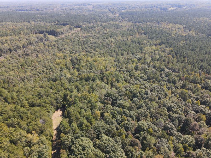 DJI_0086