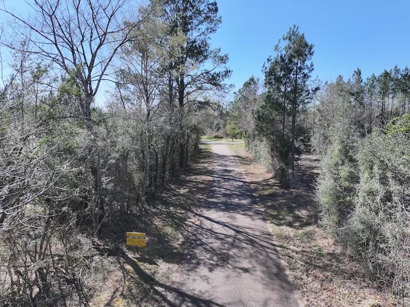 dji_fly_20260302_130036_0328_1772559704903_photo