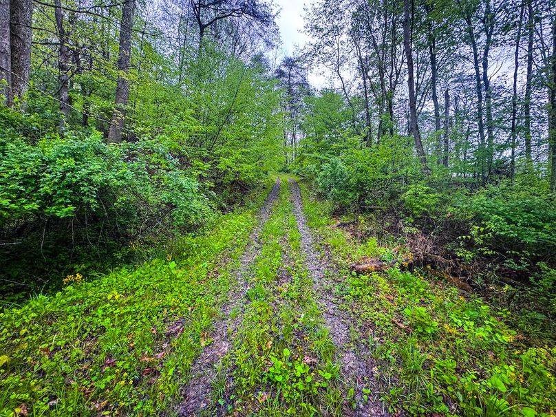 Lewis, WV 34.74 AC Graham-10