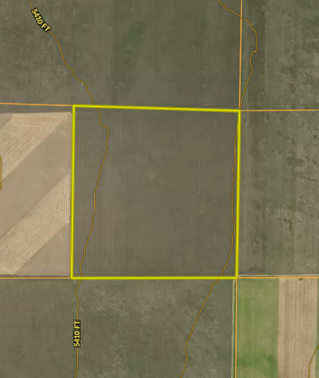 CONTOUR - RICHARD WHITED