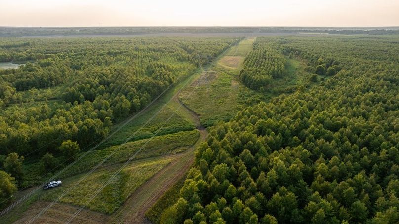 MadisonParLa1372-074