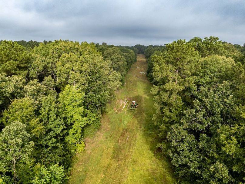 6 Panola Co. 40ac - Rouse-29