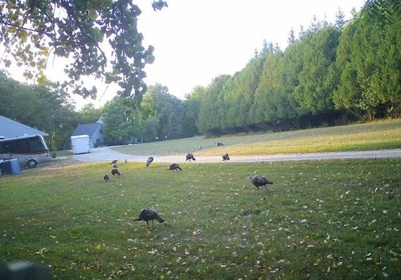 865509050092612-40-4-09192023181016-V-W1019998