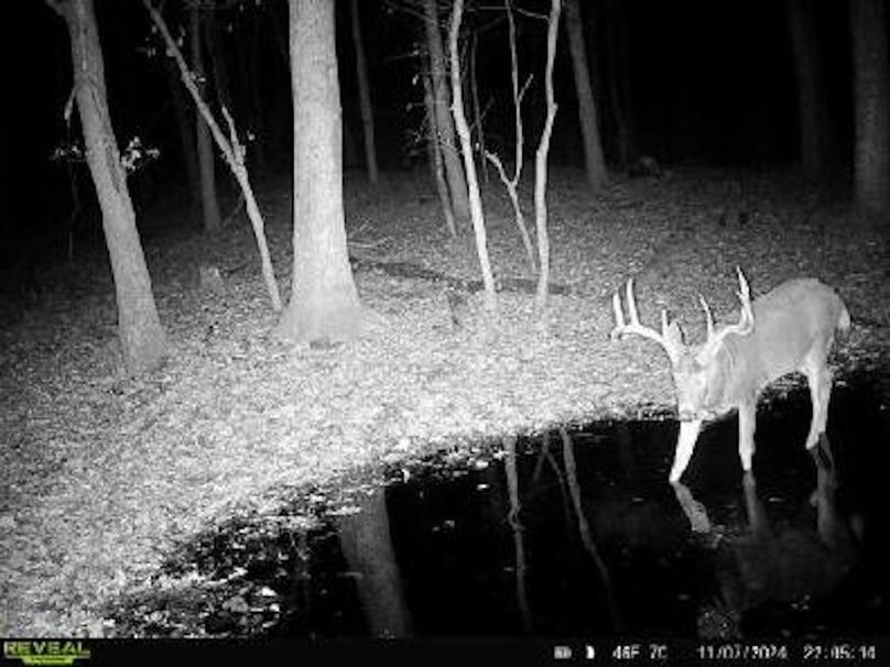 Sauk 174 Trailcam - 7