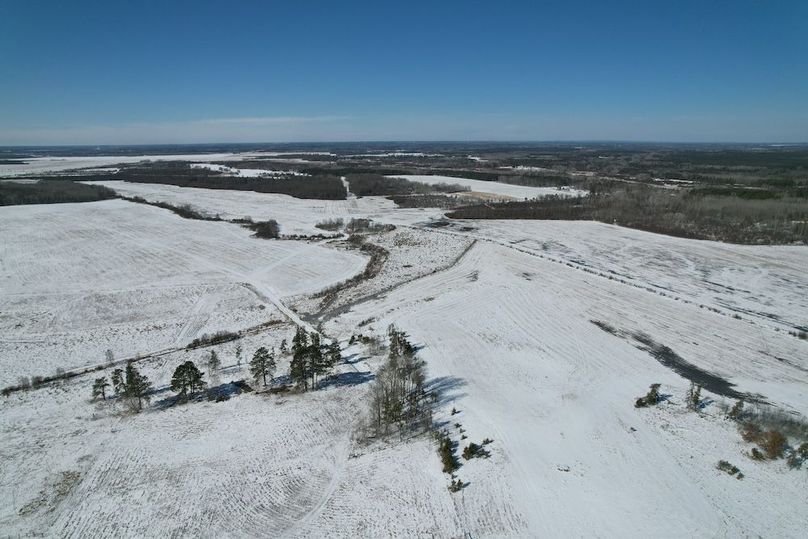 dji_fly_20260311_115038_95_1773248448619_photo (1)