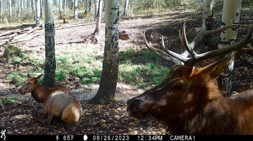 IMG_0089 (2) - frame at 0m0s