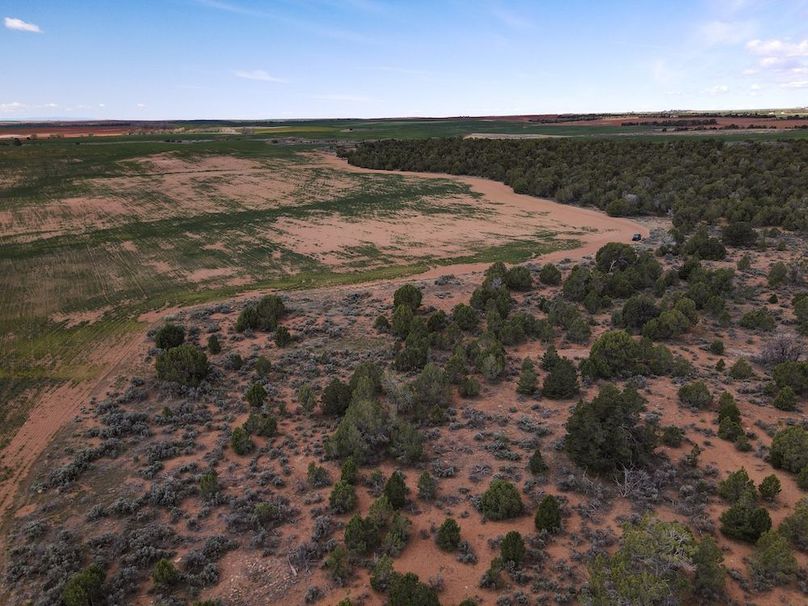 DJI_0142