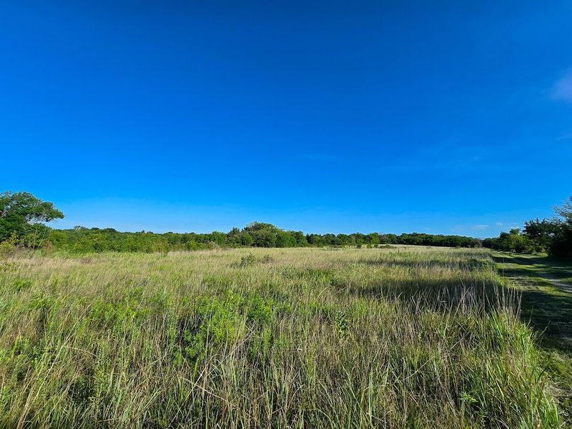 Copy of 20250729_083133