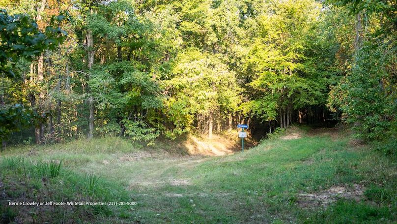 Tallahatchie 847 Messina-31