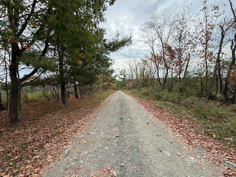 Chemung_184.12_Sterling 45