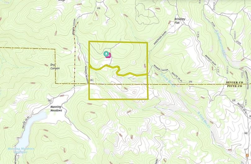Map View
